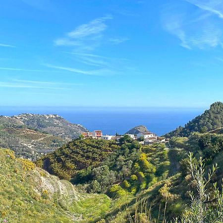 Villa Francisca Málaga Eksteriør bilde