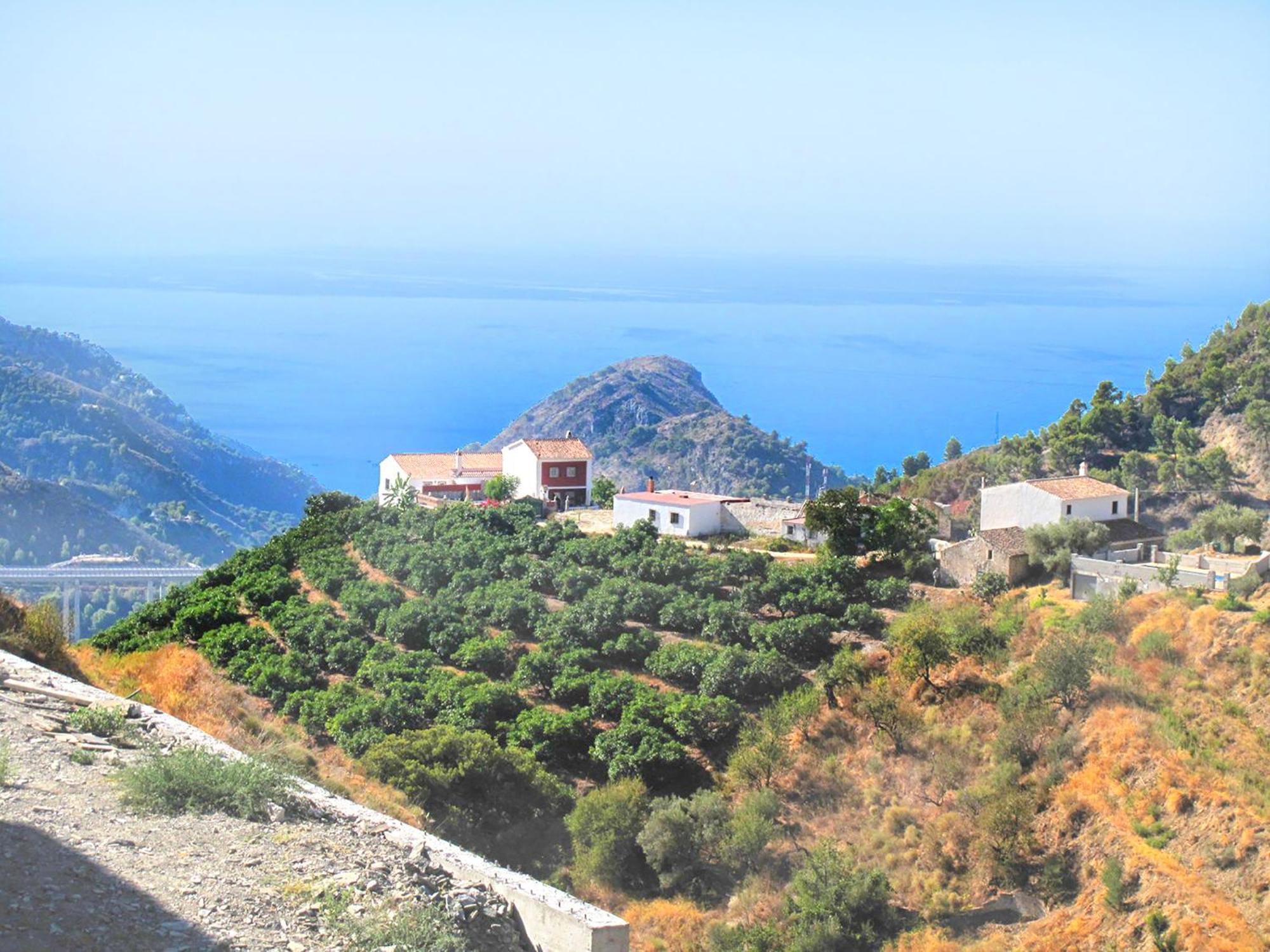 Villa Francisca Málaga Eksteriør bilde